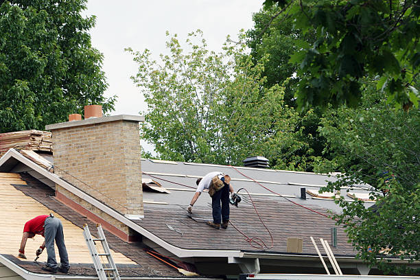 Best Sealant for Roof  in Mertzon, TX