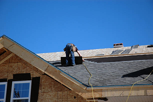 Best Shingle Roofing Installation  in Mertzon, TX